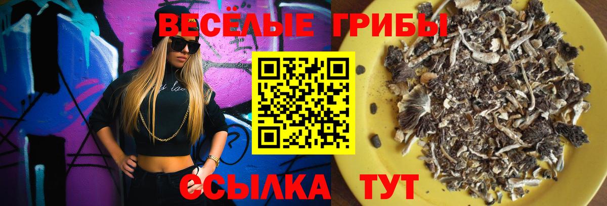 Псилоцибиновые грибы MAGIC MUSHROOMS Ефремов
