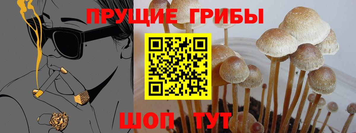 Галлюциногенные грибы GOLDEN TEACHER  Вход с VPN  Ефремов 